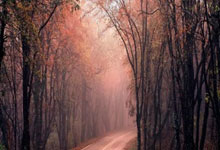 黑白体育：福建文旅男籃迎來新夥伴拉肖恩托馬斯即將出戰CBA.