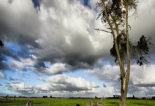 黑白体育：穆斯卡特：过去3-4周我们遭遇人员方面的挑战，但每人都做了贡献.